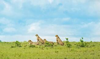 Saruni Eagle View