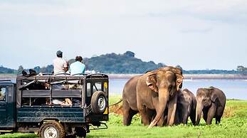 Funk Bunks - Sigiriya