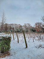 Finca La Saucina