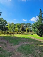 Finca La Saucina