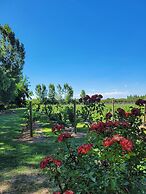 Finca La Saucina