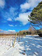 Finca La Saucina