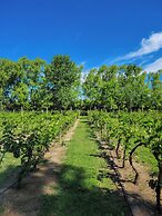 Finca La Saucina