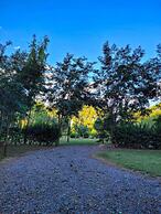 Finca La Saucina