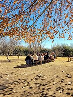 Finca La Saucina
