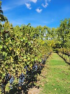 Finca La Saucina