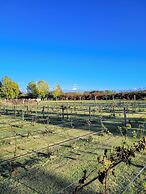Finca La Saucina