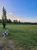 Finca La Saucina
