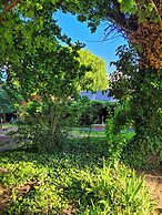 Finca La Saucina