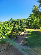 Finca La Saucina