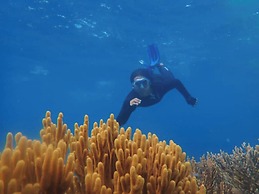Menjangan View