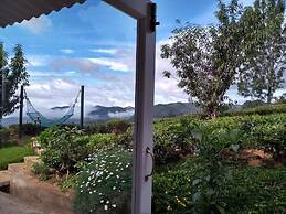 Teanest Nightingale - Nature Resorts