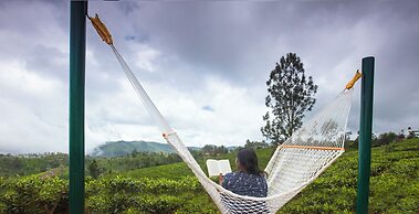 Teanest Nightingale - Nature Resorts