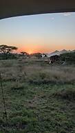 Pumba Luxury Camps