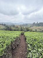 Paradise Farm Cottages Mbui