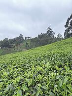 Paradise Farm Cottages Mbui