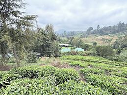 Paradise Farm Cottages Mbui