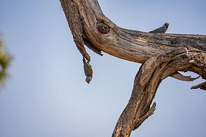 Basecamp Samburu