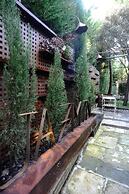 Hotel Boutique Pinar by Bossh Hotels