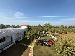 Guava resort