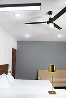 Apartamentos 31