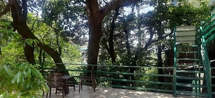 Kaushik Cottage