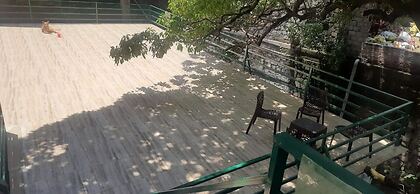 Kaushik Cottage