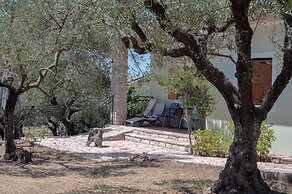 Terra Ionian