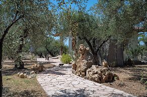 Terra Ionian