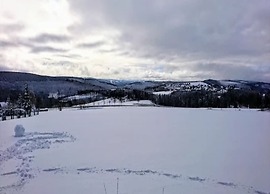 Ferienwohnung mit Aussicht, Neuastenberg