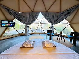 In Out Resort Glamping