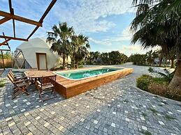 In Out Resort Glamping