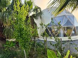In Out Resort Glamping
