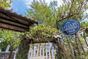 Lotus villa