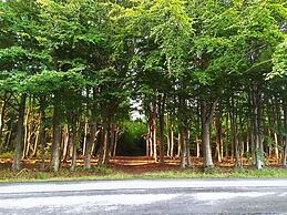 4 Star Holiday Home in Bronderslev