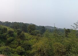 Nature4 Resort