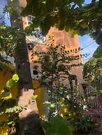 Casa Icaco