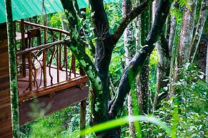 Ella Eco Lodge