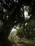 Comilla Bungalow