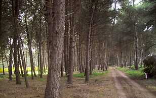 Club Villaggio Magic Garden - Campground