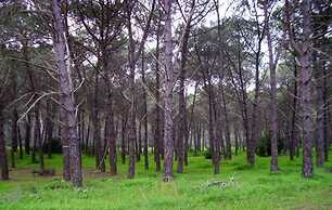 Club Villaggio Magic Garden - Campground