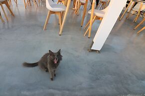 Avra Pahainas Hotel