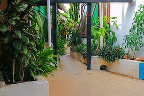 Pura Vida Hostel