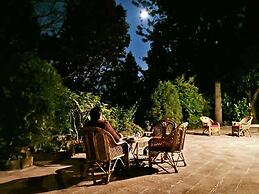 Fredy's Bungalow