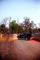 Tuli Tiger Resort
