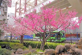 Ful Won Hotel