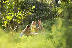 Padma Resort Ubud
