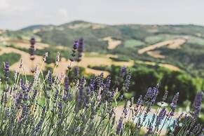 Aethos Hotel  Saragano
