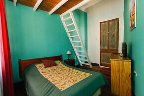 Casa Verde Limon - Hostel