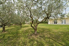 Albergo Panoramica